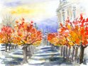 36 Hofgarten Kirschbaumallee im Herbst