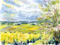 09 Oberelsbach Rapsfelder (1)