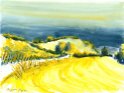 11 Sommerweinberge  Kitzingen