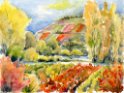 20 Randersacker Herbstweinberge