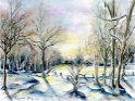 35 Steigerwald Winterlandschaft