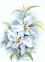02_Orchidee
